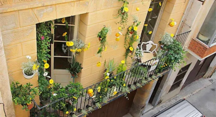 Els particulars també s'animen a participar de l'Arenys de Flors (foto: Xavi Salbanyà )
