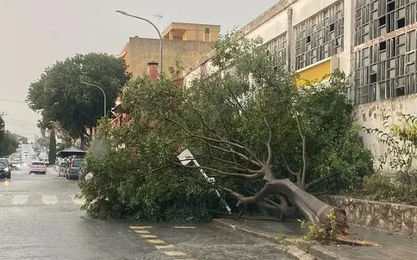 Foto: Ajuntament de Torredembarra