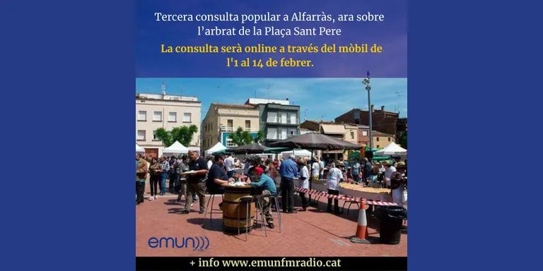 Tercera consulta popular a Alfarràs, ara sobre l’arbrat de la Plaça Sant Pere