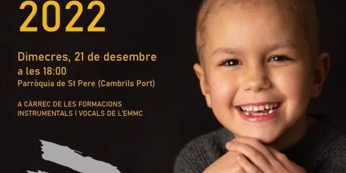 Els alumnes de l’Escola Municipal de Música ofereixen aquesta tarda el concert solidari "Pels valents"