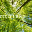 Arrels i Ales