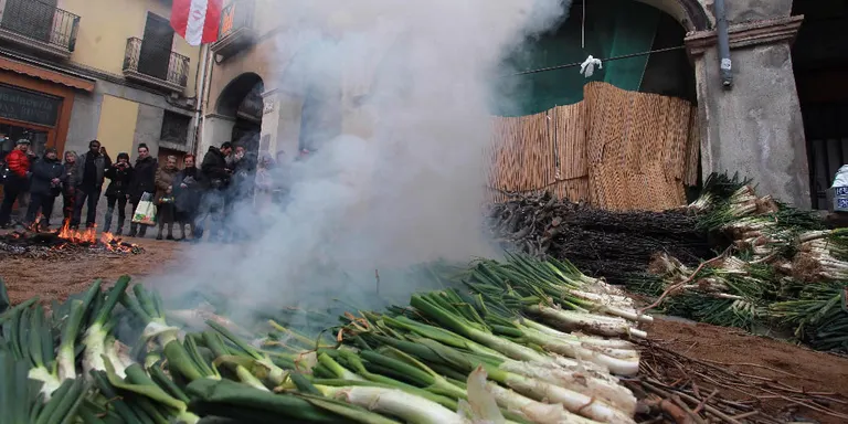 La Gran Festa de la Calçotada substituïda per una mostra informativa i divulgativa