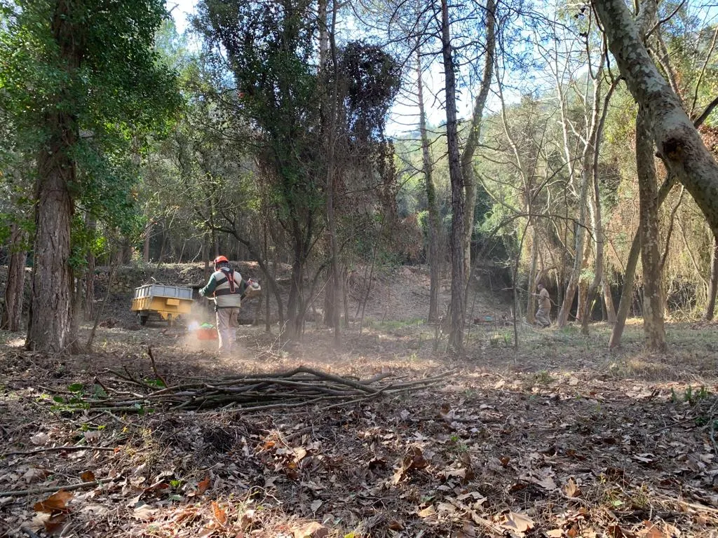 ARA I SEMPRE 9 desembre 2018