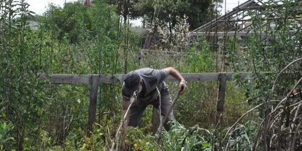 Obert el procés per obtenir temporalment horts ecològics per conrear a Cal Dània destinats a la gent gran