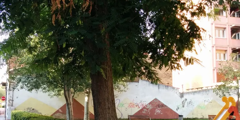 El consistori farà una zona de vianants al carrer Sant Sebastià