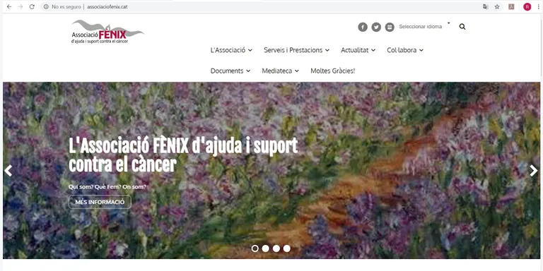 Fènix renova la seva imatge a internet