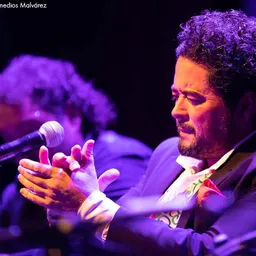 Rafael de Utrera une la música con los museos - episode art
