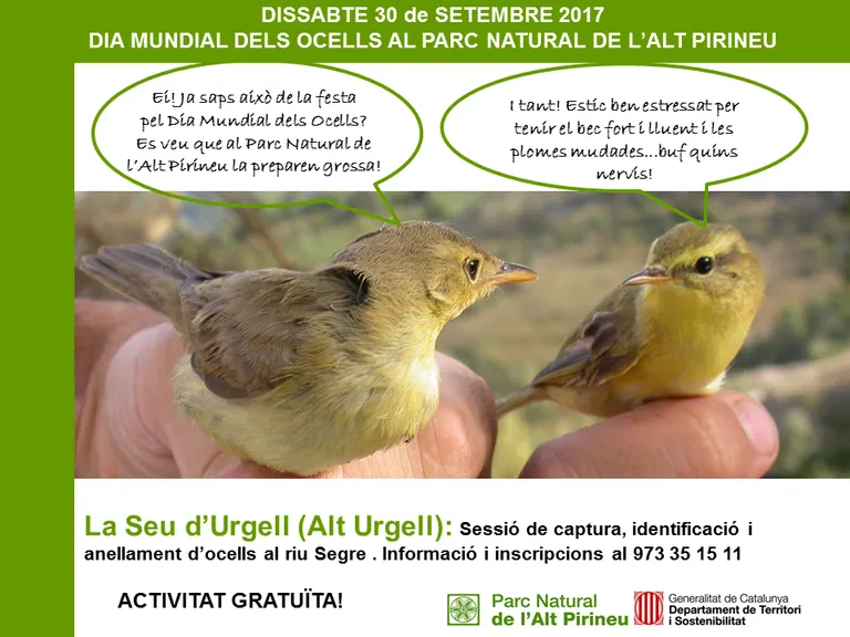Jornada d'anellament a la Seu amb motiu del Dia Mundial dels Ocells