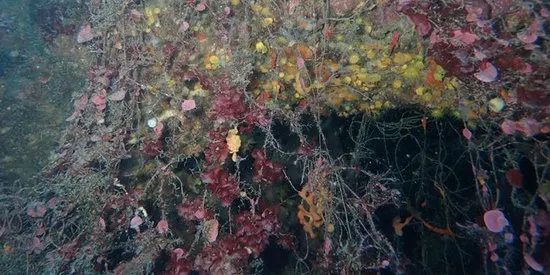 La Federació Catalana d'Activitats Subaquàtiques retirarà arts de pesca perduts al fons marítim del Maresme