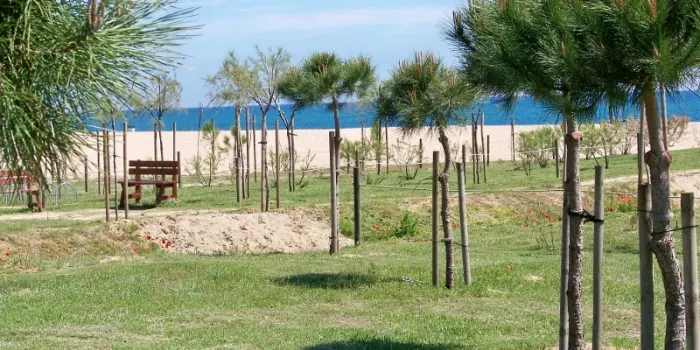 La regidoria de Medi Ambient comença l’any amb actuacions a la platja del Cavaió