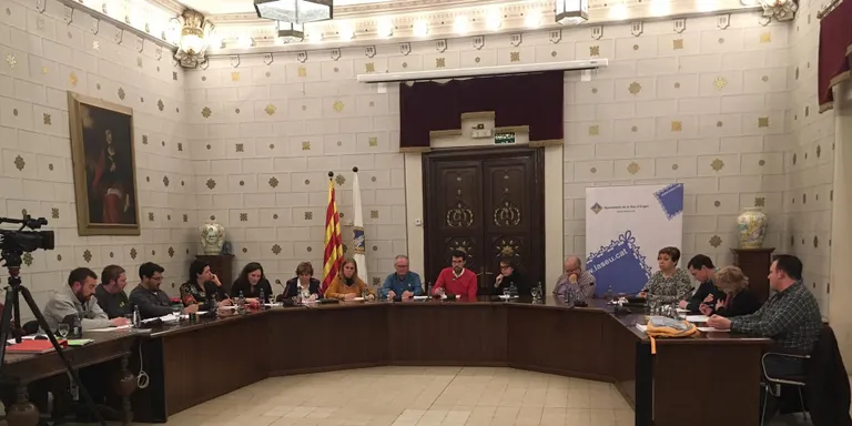 El ple de la Seu se suma al Pacte contra la Segregació Escolar