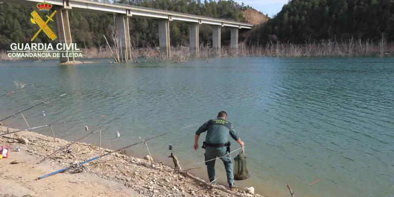 El pantà de Rialb concentra les infraccions per pesca furtiva a la demarcació de Lleida
