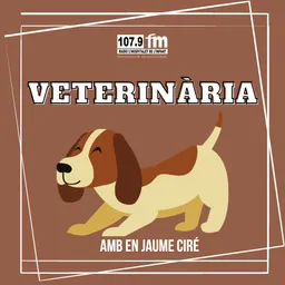 #3177 - Jaume Ciré - veterinari - Llei d'assegurances animals de companyia p.2 - episode art