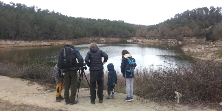 L'augment de les reserves als pantans del Solsonès permet recuperar les zones on dormen agrupats els ocells aquàtics hivernants
