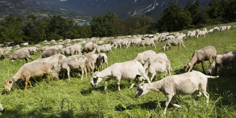 El Pallars Jussà es prepara per a la creació del Parc Natural del Montsec