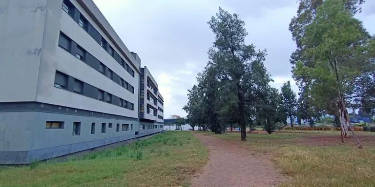 Usuàries de la clínica reclamen un parc en lloc d'una zona per a gossos