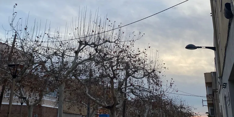 El temps d'aquest dimarts 6 de febrer