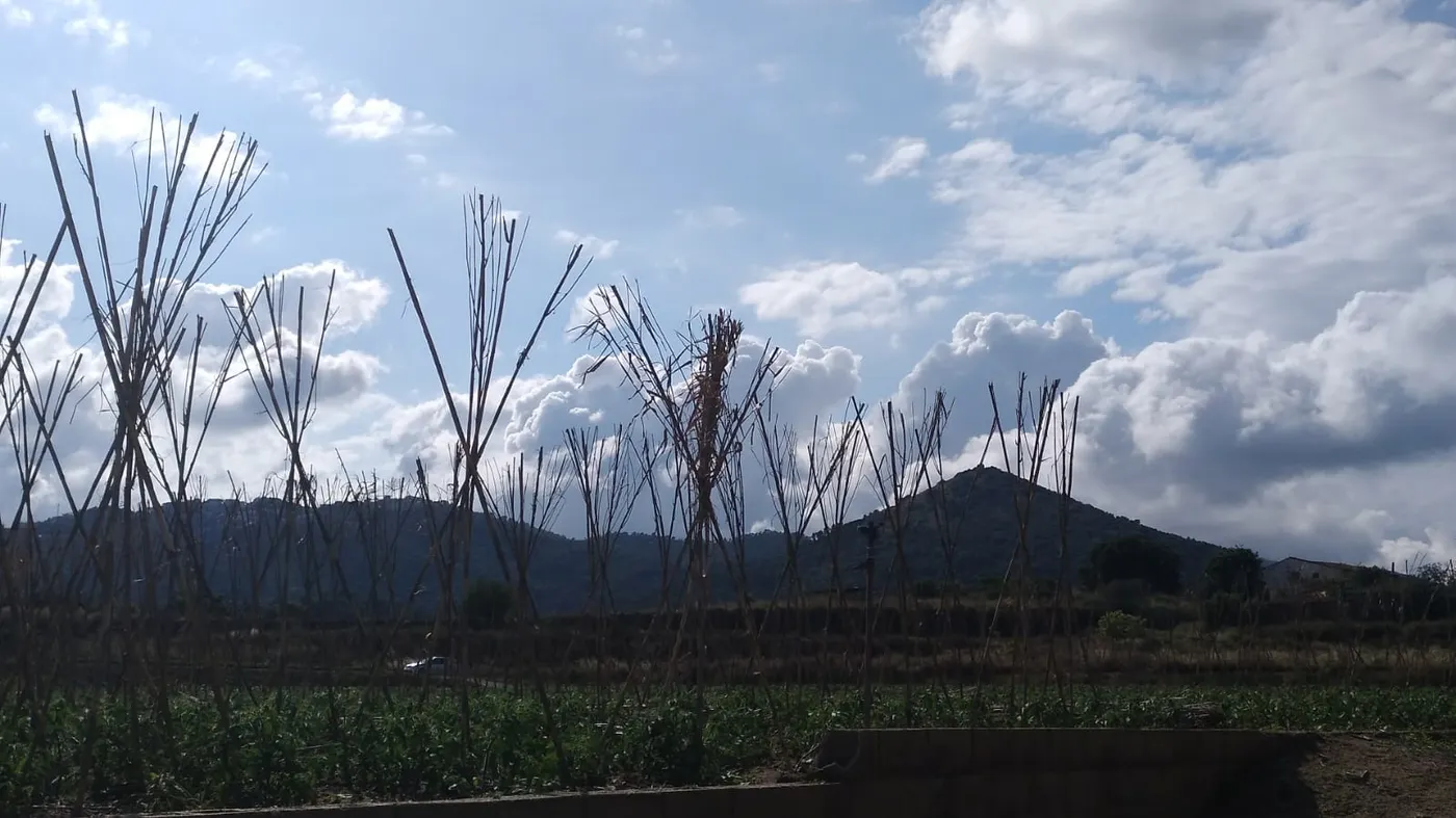 Temps variable però bo en conjunt