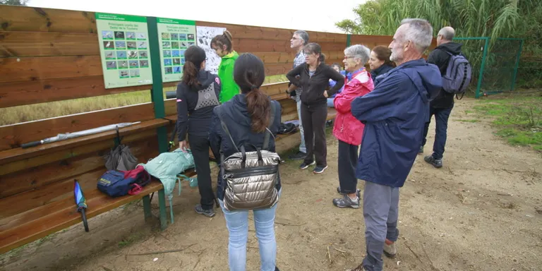 Blanes ha celebrat el Dia Mundial de les Aus Migratòries amb una Visita Ornitològica al Delta de la Tordera