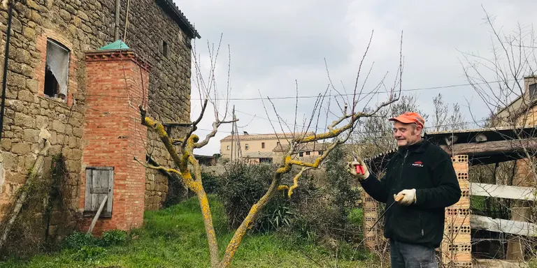 L'Arada ha programat per dissabte la 13a edició del Taller de poda de restauració d'arbres fruiters antics