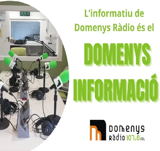 Domenys Informació (Resum)
