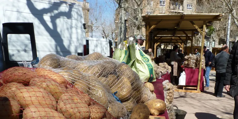 El Consell Comarcal convoca una plaça d'AODL