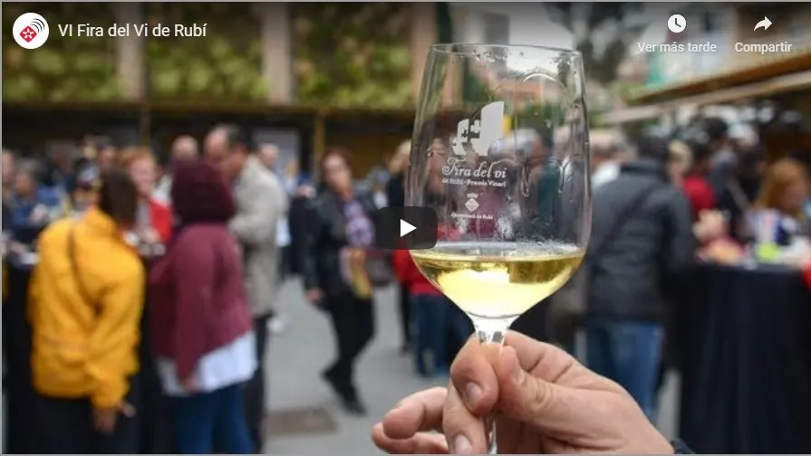 La VI Fira del Vi omple de gom a gom el Celler Cooperatiu