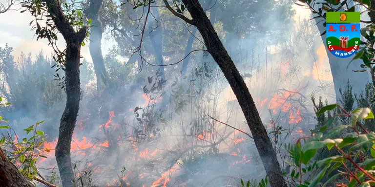 Prohibició de fer foc al bosc fins al 15 d'octubre