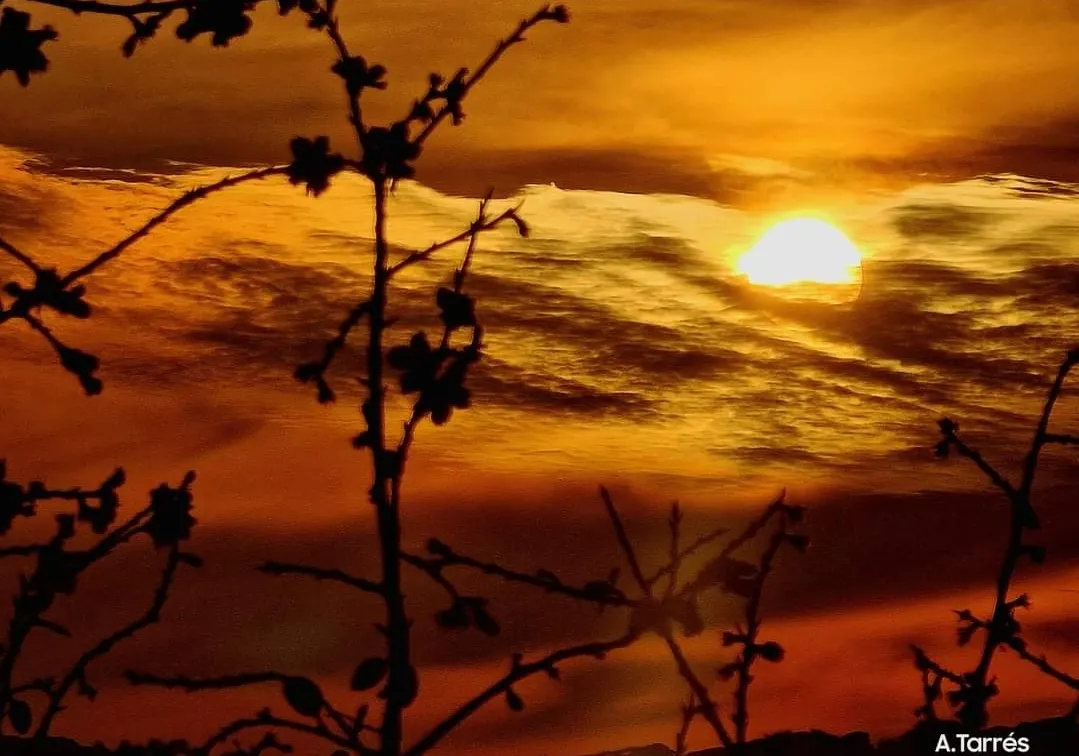 Temps assolellat i ambient agradable