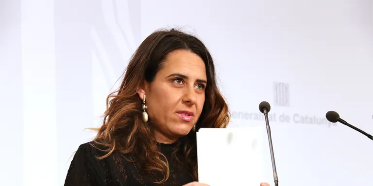 Plaja respon a Junts que Aragonès no va dir "en cap moment" que els indults s'haguessin "negociat" amb l'Estat
