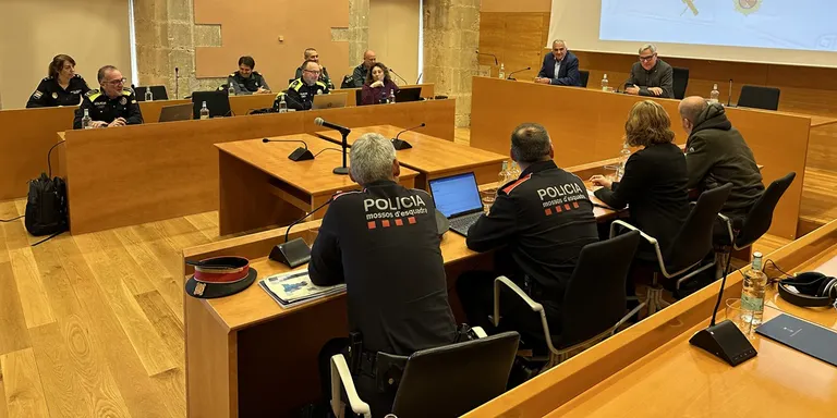 Els delictes augmenten un 6% a Torredembarra en l'últim any
