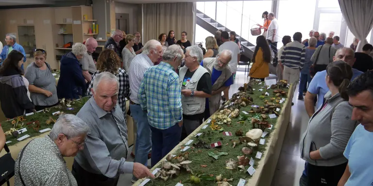 Els bolets tornen al Morell amb la gran exposició i tastets