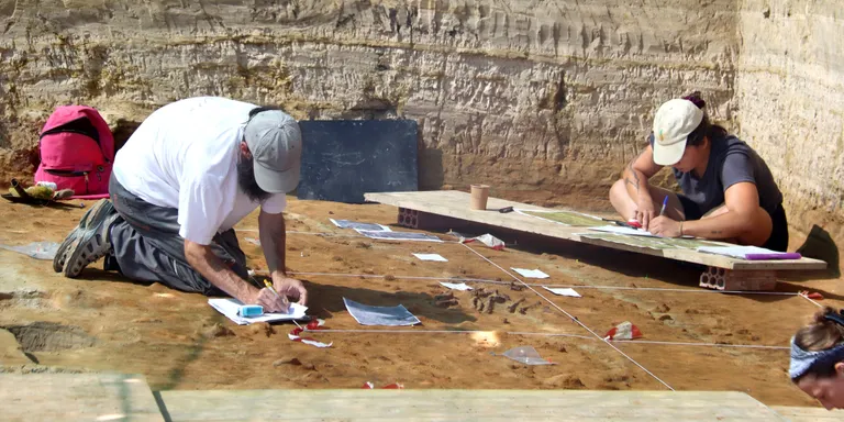 Troben una au aquàtica d'un metre i mig de fa 3,1 milions d'anys en el jaciment del Camp dels Ninots
