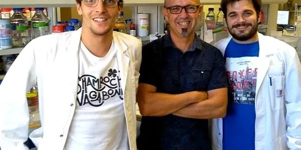 Investigadors de la UAB descobreixen una molècula que deté i reverteix la neurodegeneració del Parkinson