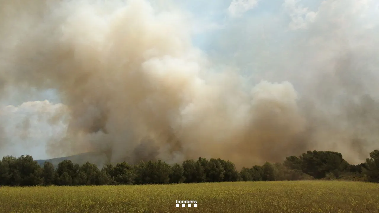 Més de 30 dotacions de Bombers treballen en un incendi al Pont d’Armentera
