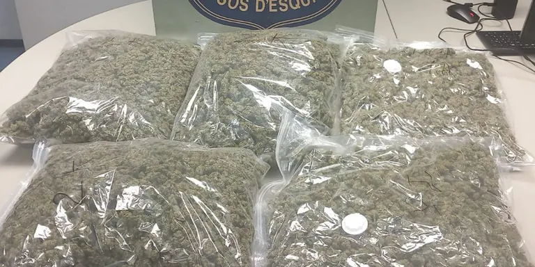 Se salten un control de trànsit a Vidreres i llencen més de vuit quilos de marihuana en un bosc en la fugida