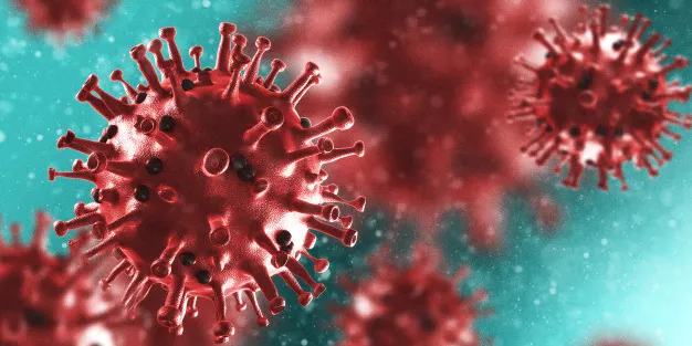 Dades sobre coronavirus corresponents a Vilassar de Mar d’aquest dimarts 15 de setembre