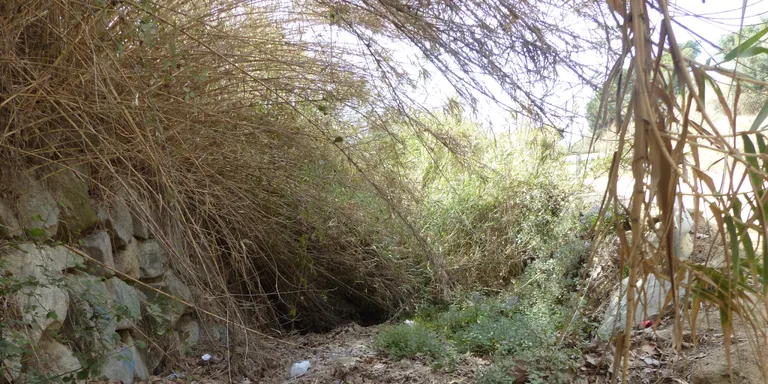 La Plataforma en Defensa al Territori Arenyenc convida a netejar els rials del Bareu i el Sapí en el marc del 'Let’s Clean Up'
