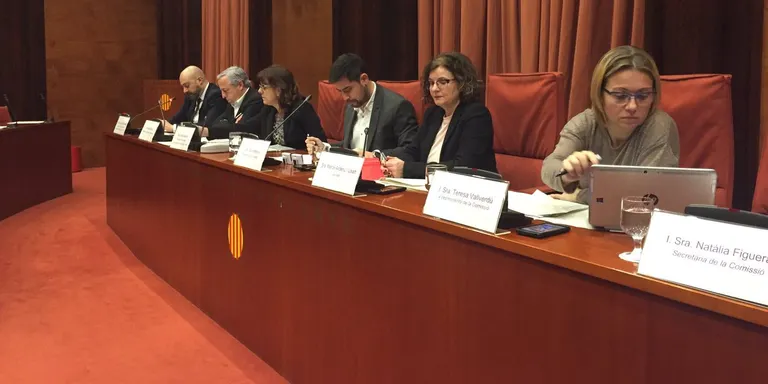 La CCMA adopta la denominació 'Alt Pirineu'