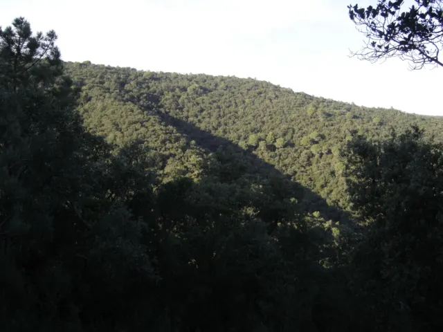 Les ADF criden a la prevenció en un estiu que pot ser "dur i calorós"