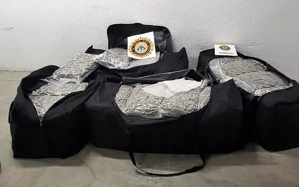 Foto: Ajuntament de Torredembarra