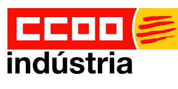 CCOO proposa constituir un comitè del sector elèctric arran de l'accident mortal a l'Alt Urgell