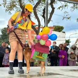 20è Concurs de mascotes disfressades - Carnaval 2024 - episode art