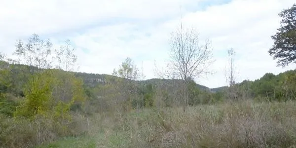 L'ACA impulsa la recuperació de l'espai fluvial del riu Gaià en un tram de més d'1 quilòmetre al seu pas per Querol