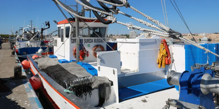 Els pescadors catalans podran pescar sardina a partir de desembre
