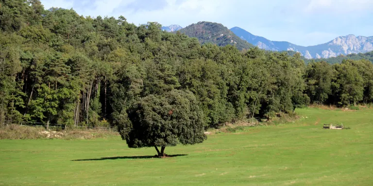 La Nou i Vilada convocaran una consulta popular sobre la central hidroelèctrica reversible que es projecta al Berguedà