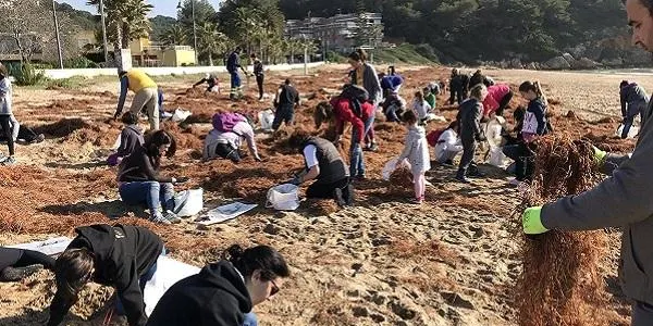 L’Associació Mediambiental La Sínia d’Altafulla vol posar solució a la presència de microplàstics a les nostres platges