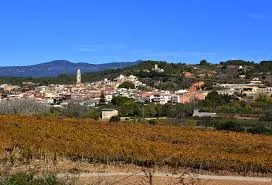 Aprovat inicialment el nou polígon entre Alió i Vila-rodona