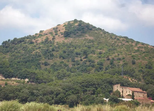 Passejada guiada al Montpalau