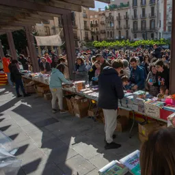 #3 - El reportatge del 20/4/2026 — Sant Jordi a Ràdio Ciutat de Valls: Llibres i previsions - episode art